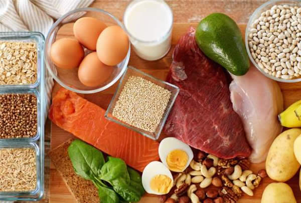 Protein có trong nhiều loại thực phẩm