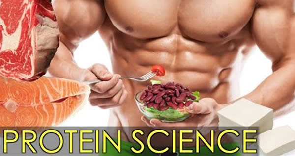 Protein vô cùng quan trọng với cơ thể người tập 
Gym