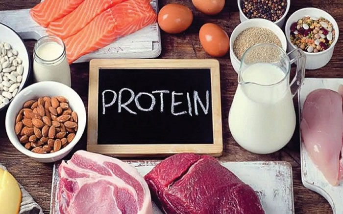 Protein hỗ trợ phát triển cơ bắp cho 
người tập gym
