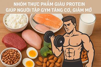 Lý Do Người Tập Gym Cần Bổ Sung Protein - Thực Phẩm Giàu Protein Giúp Tăng Cơ, Giảm Mỡ